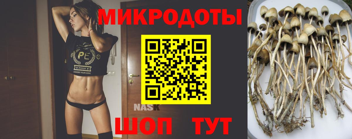 Ялуторовск  Псилоцибиновые грибы Magic Shrooms  Вход с VPN  Псилоцибиновые грибы Cubensis 
