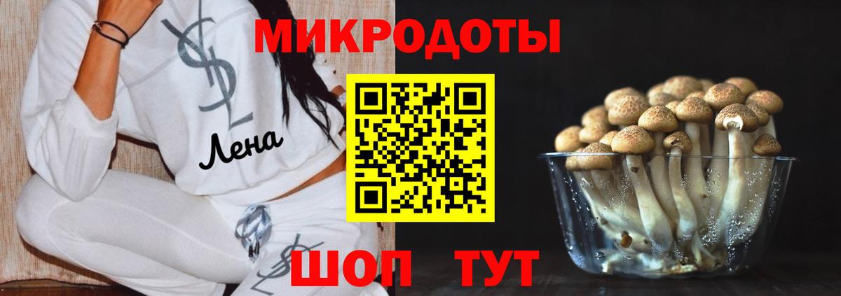 Псилоцибиновые грибы GOLDEN TEACHER Ялуторовск