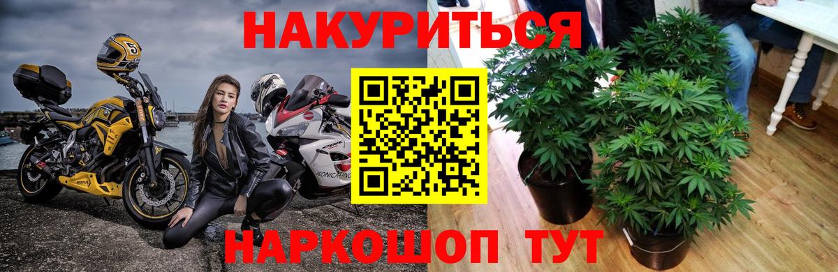 Бошки марихуана индика  Марихуана семена  Каннабис Ganja  Канабис LSD WEED  Ялуторовск  Вход с VPN 